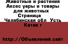 Животные и растения Аксесcуары и товары для животных - Страница 2 . Челябинская обл.,Усть-Катав г.